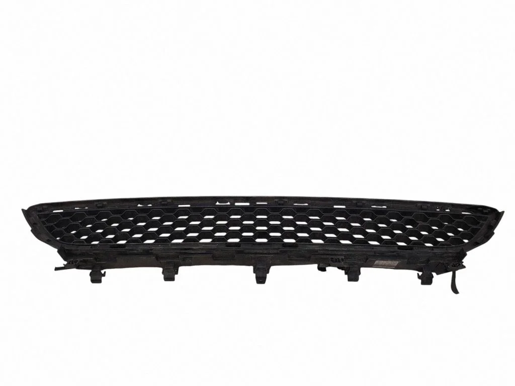 Front bumper lower grill