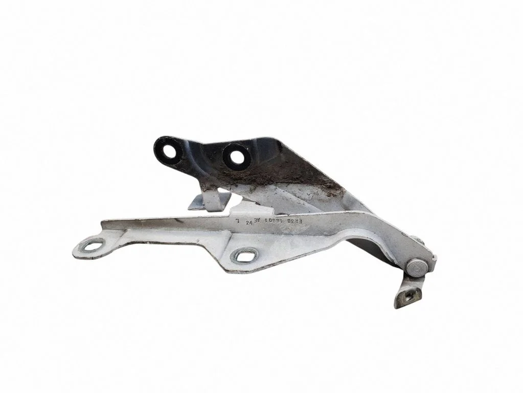 Motora pārsega eņģe (-es) FR3B16801AE