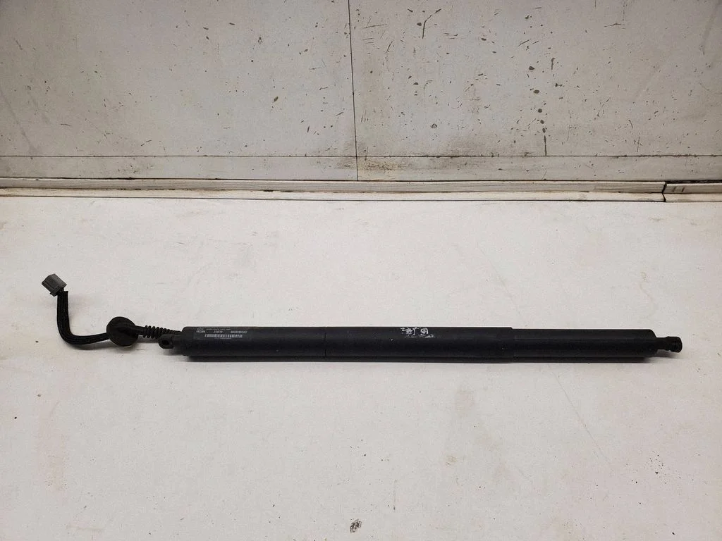 Aizmugurējā vāka piesaistes motors 68333902AD