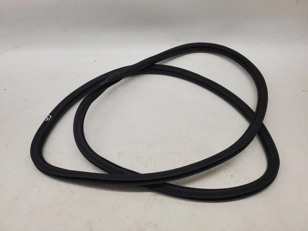 Rear door rubber seal (on body) – front left