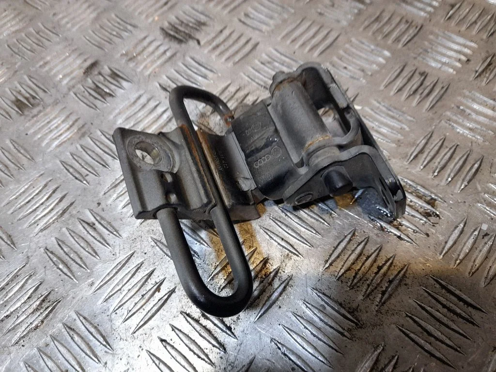 Front door lower hinge 8J0831412