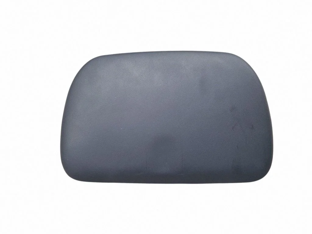 Paneļa apdares panelis (centrālais) 66067FJ230