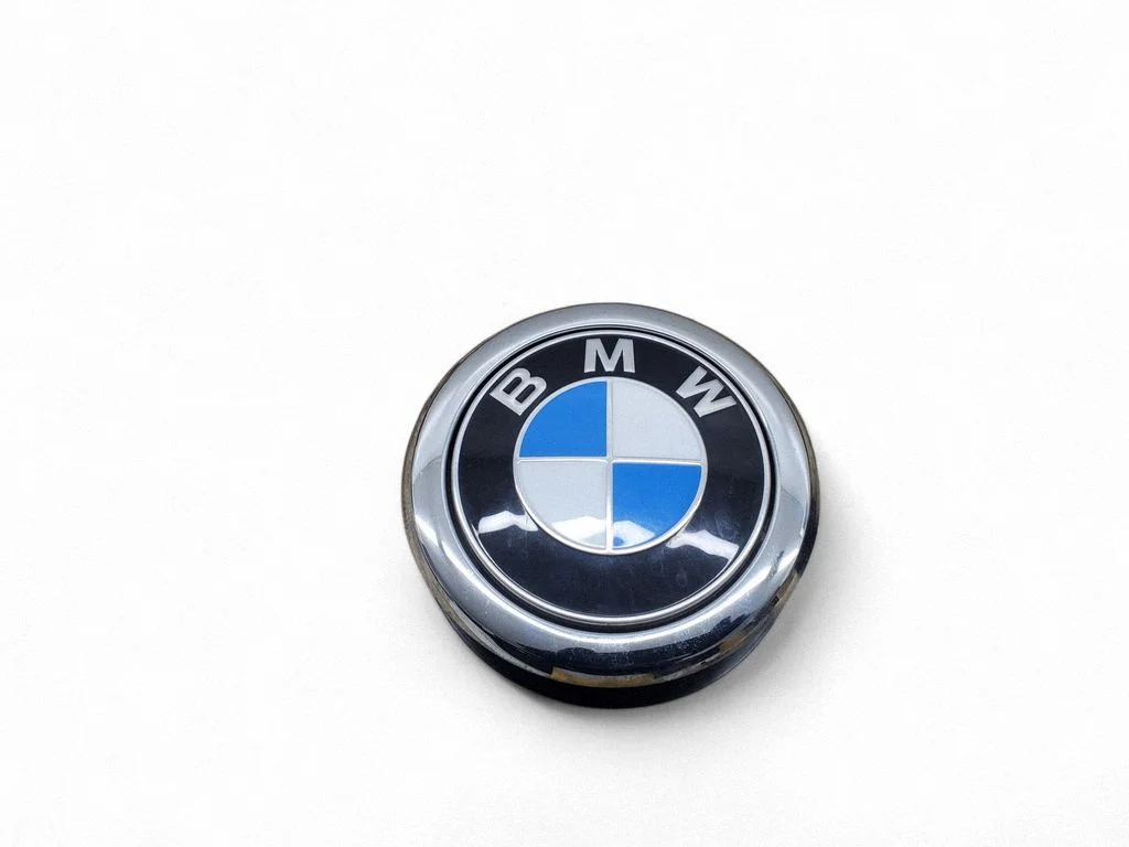Bagāžnieka vāka aizvēršanas slēdzis – BMW X2 F39 (2018-2023)