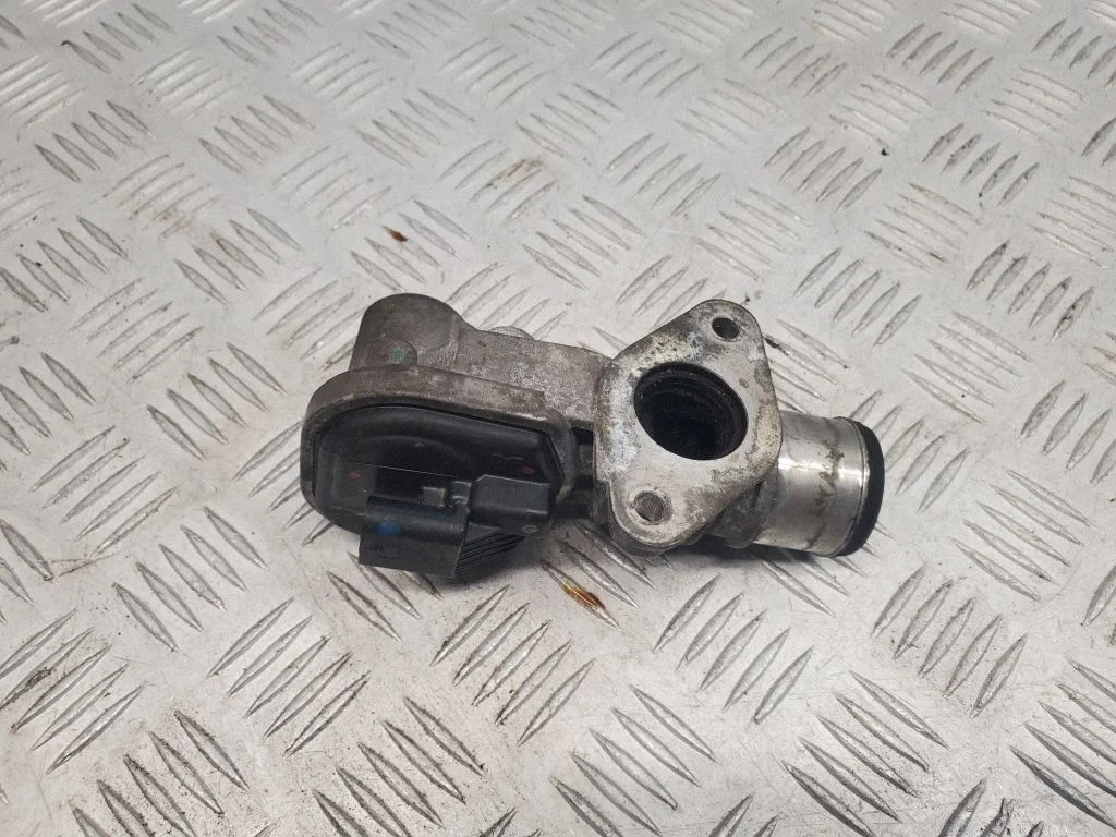 EGR-klapp 161130089