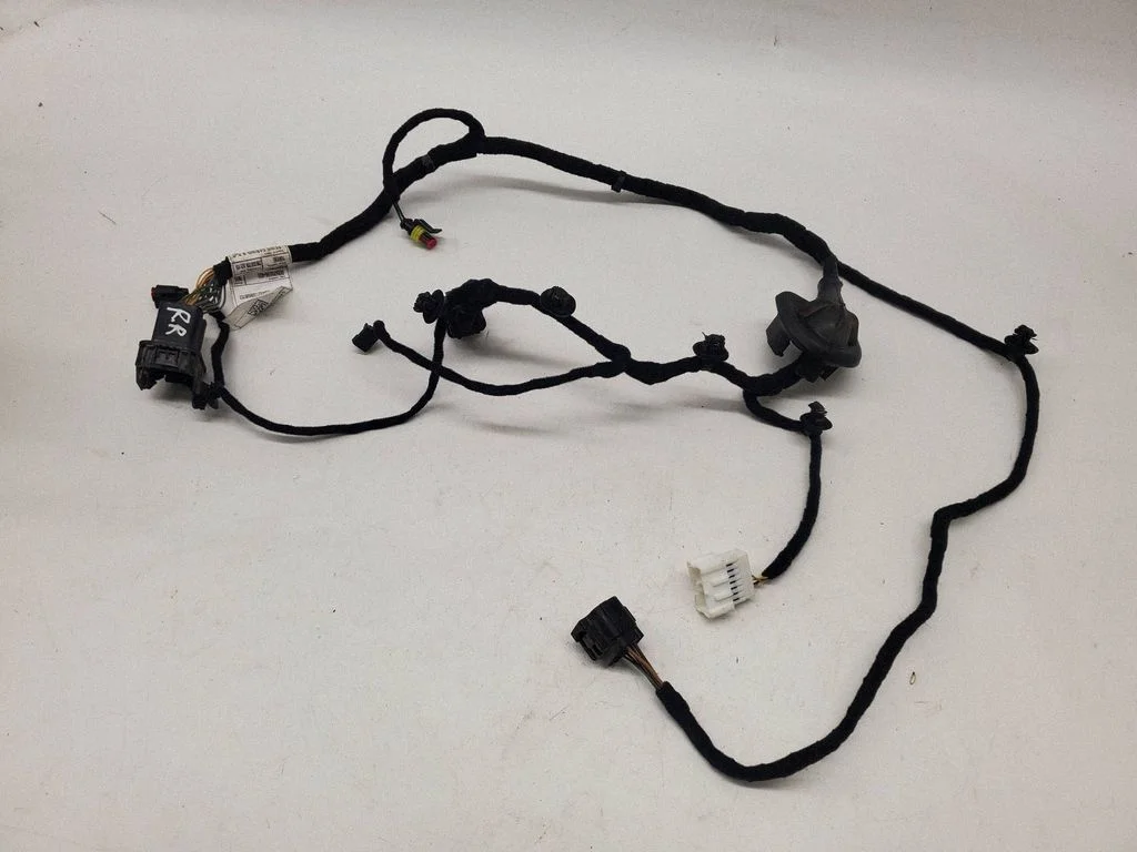 Rear door wiring loom 00505696400