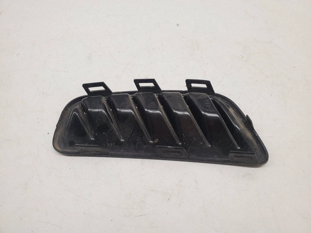 Bonnet/hood grill 156165340