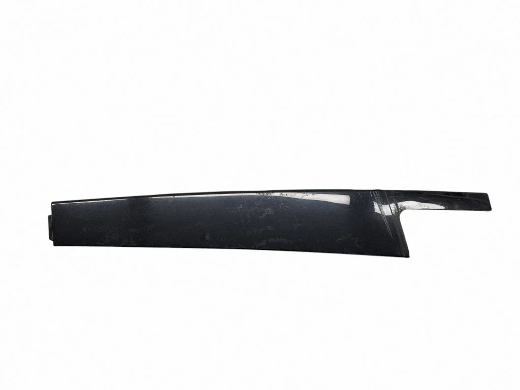 Tagaukse liist (mold) 4N0839901