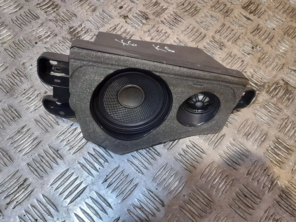 Rear door speaker – BMW X6 E71 (2008-2014)