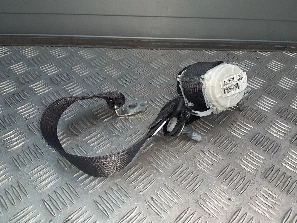 Aizmugurējā drošības josta 23286981