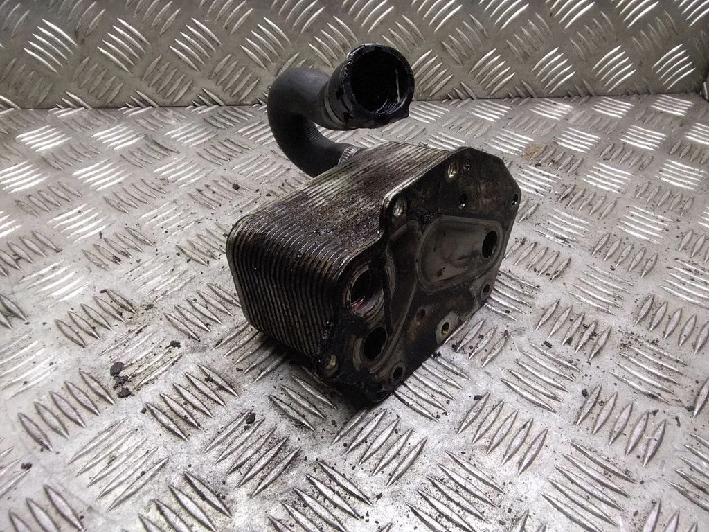 Mootoriõli radiaator – BMW 5-seeria E60 E61 (2004-2010)