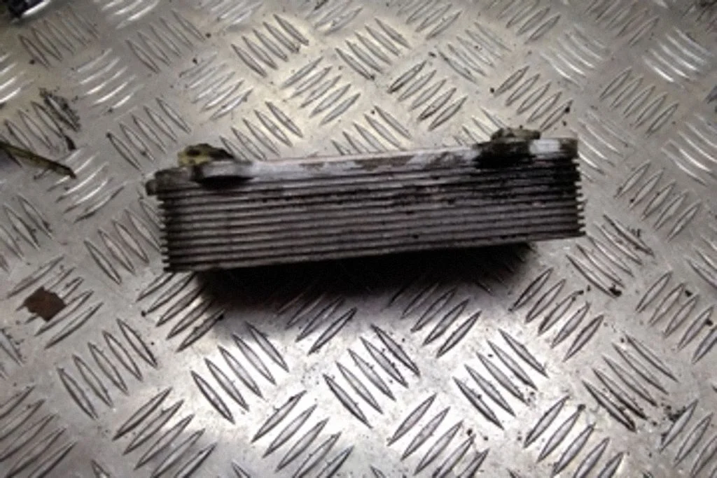 Engine oil radiator – Volkswagen Touareg I (2002-2010)