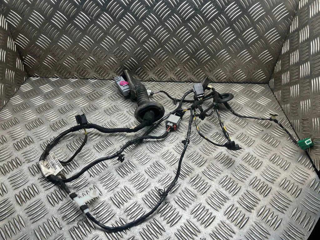 Front door wiring loom 20170411
