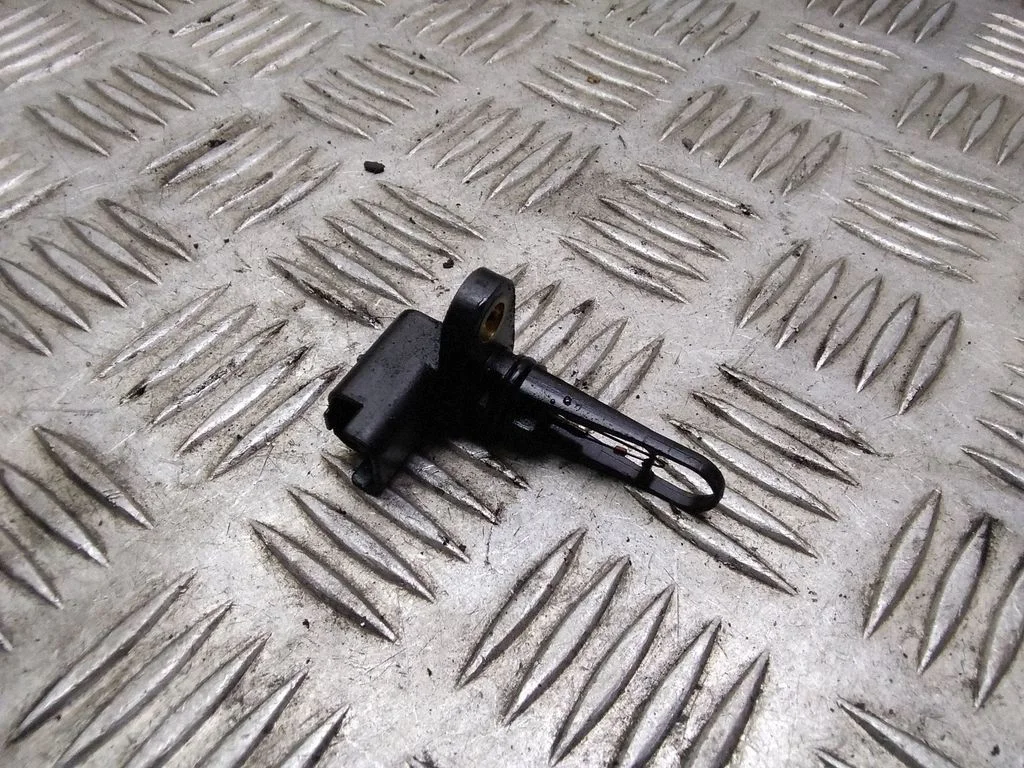 Ieplūdes gaisa temperatūras devējs – Citroen C4 I (2004-2010)