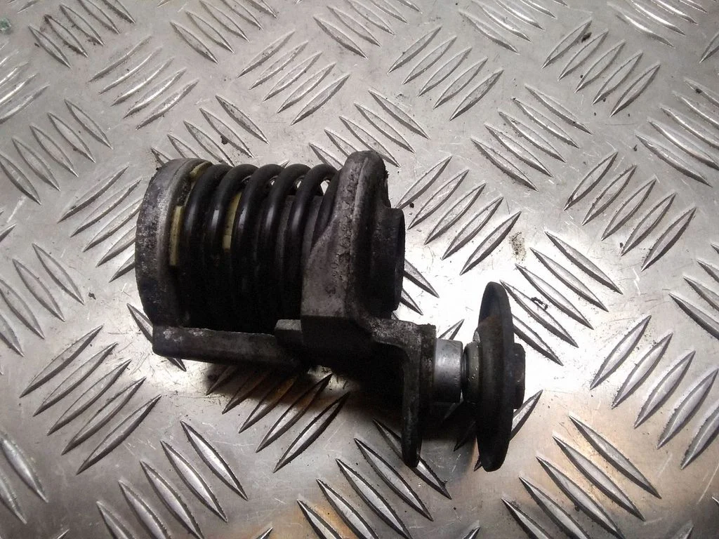 Ģeneratora siksnas spriegotājs – Audi A4 S4 B6 8E 8H (2001-2005)