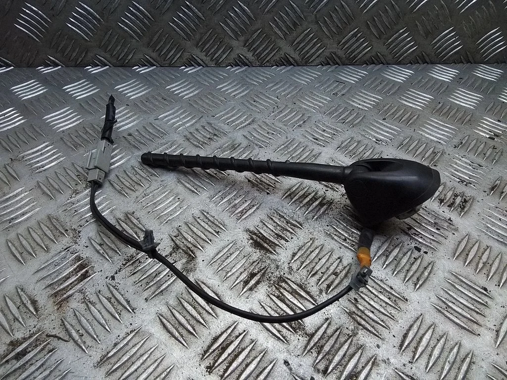 Raadioantenn