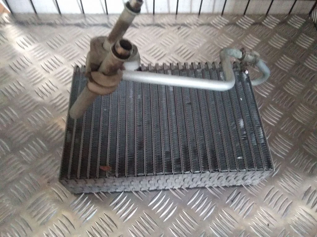 Krāsniņas radiators – Renault Megane I (1995-2002)