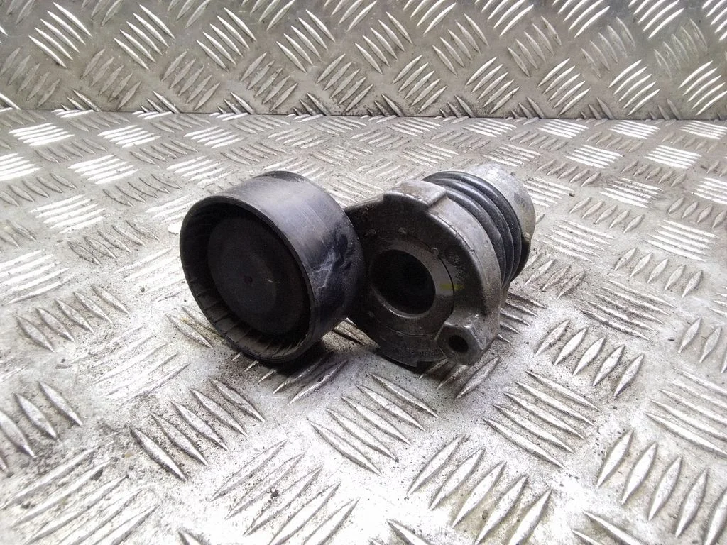 Generator/alternator belt tensioner – Nissan Qashqai (2016-2021)
