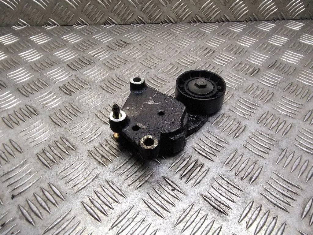 Napinacz paska – Peugeot 307 (2001-2005)