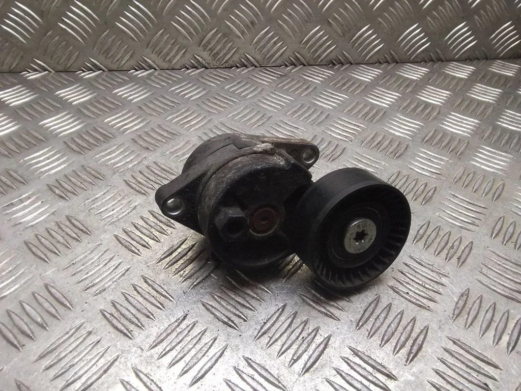 Napinacz paska – BMW Seria 3 E46 (1998-2005)