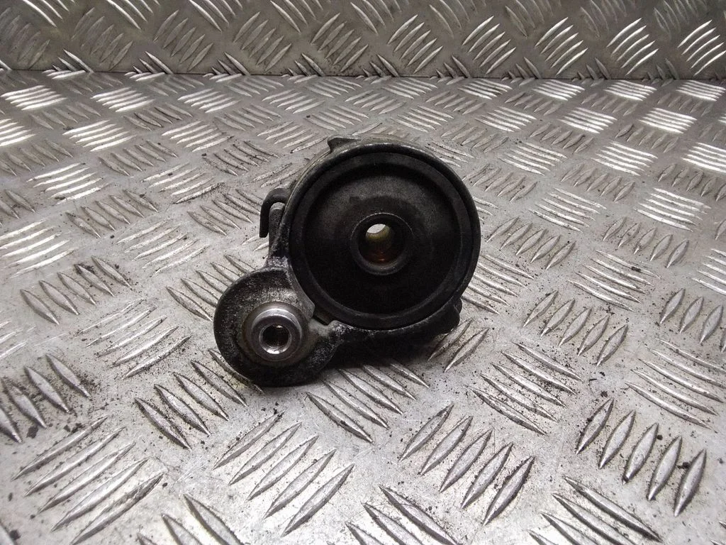 Generator/alternator belt tensioner – Citroen C4 I (2004-2010)