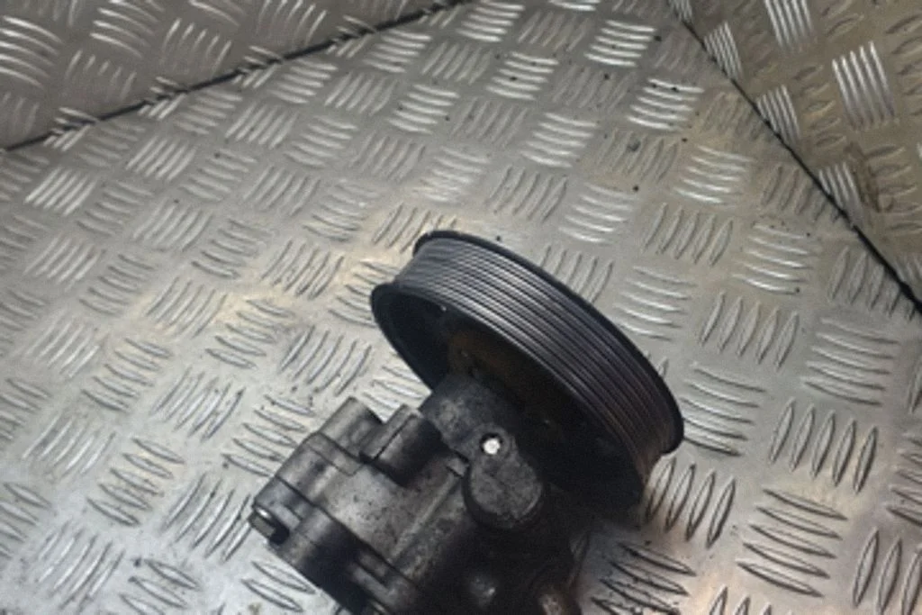 Roolivõimendi pump – Ford Galaxy (2000-2006)
