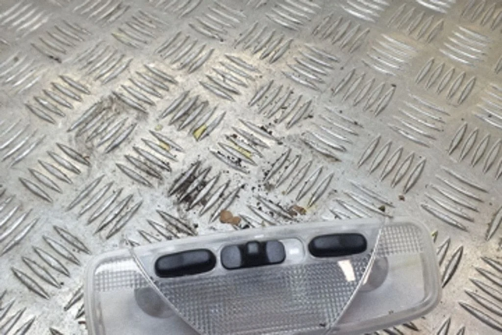 Esiistmete valgustustuli – Ford Focus C-MAX (2003-2010)