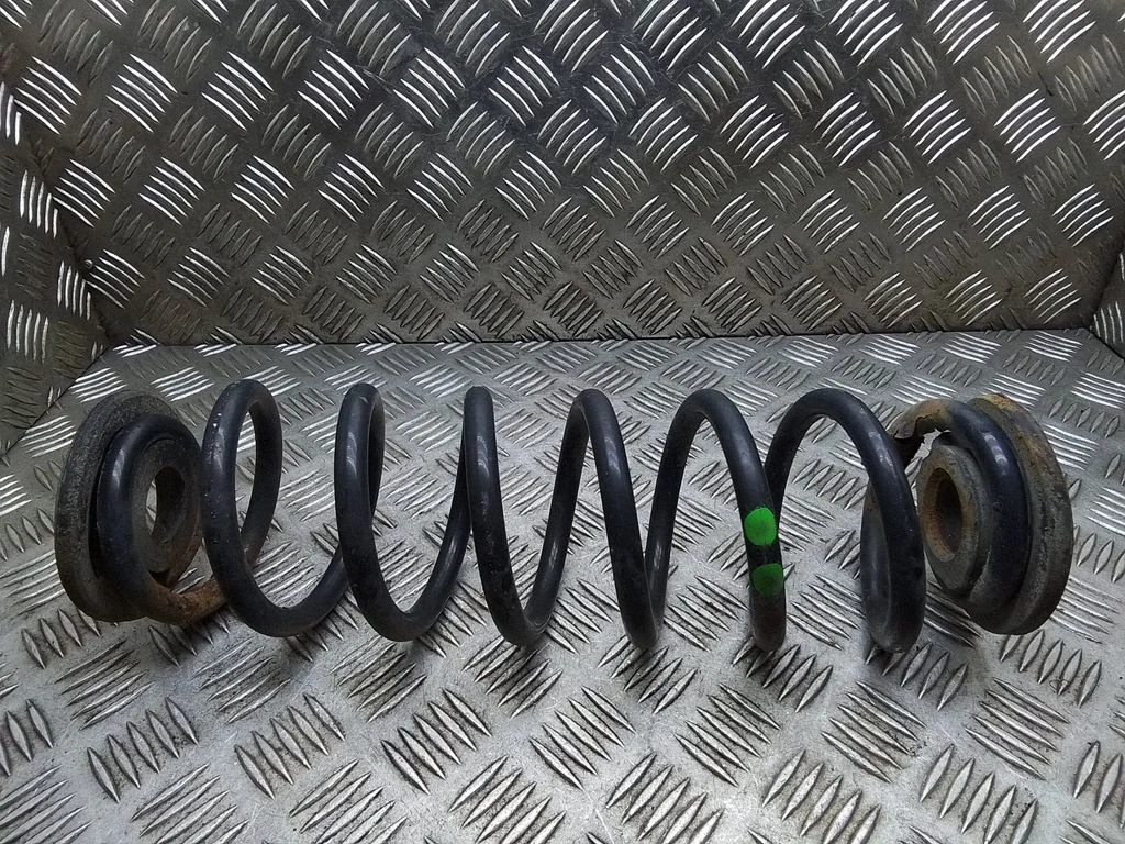 Rear coil spring