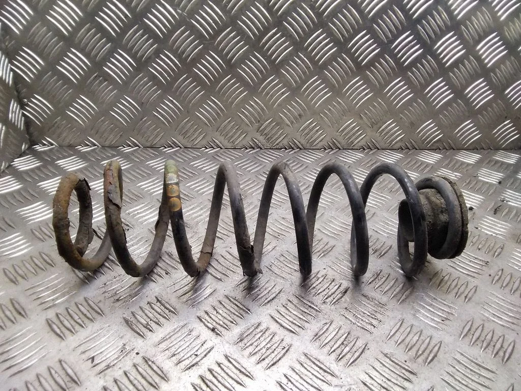 Rear coil spring