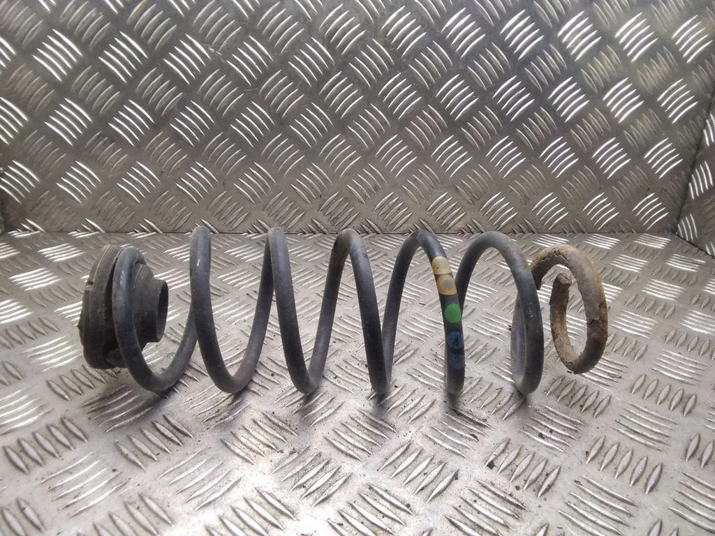Rear coil spring