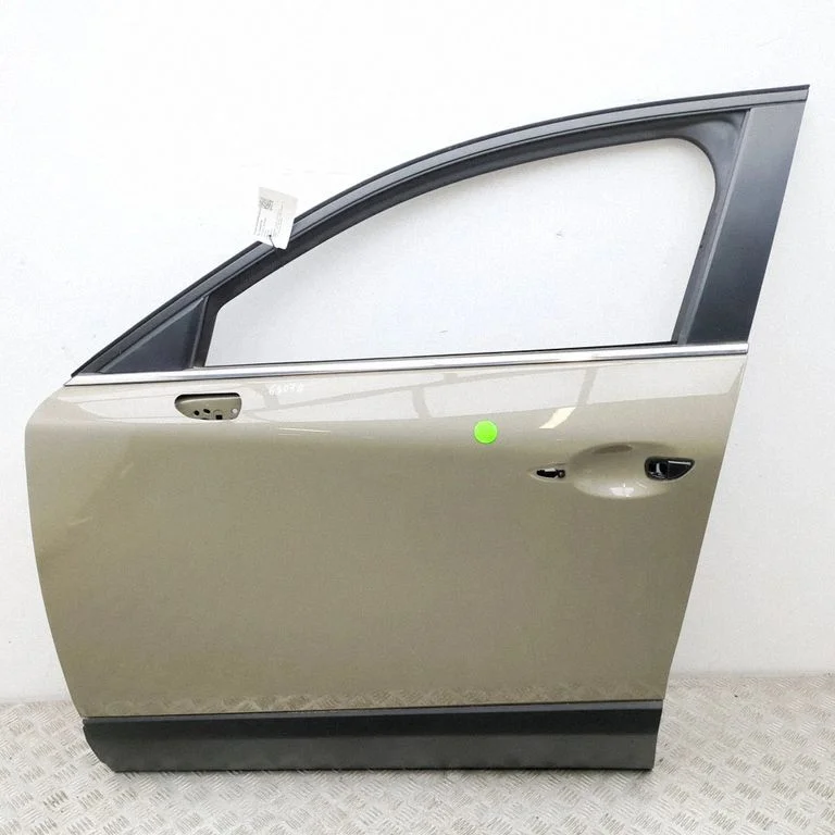 Drzwi przednie EX6866S08