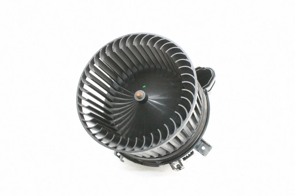 Salongipuhur 5A06B89
