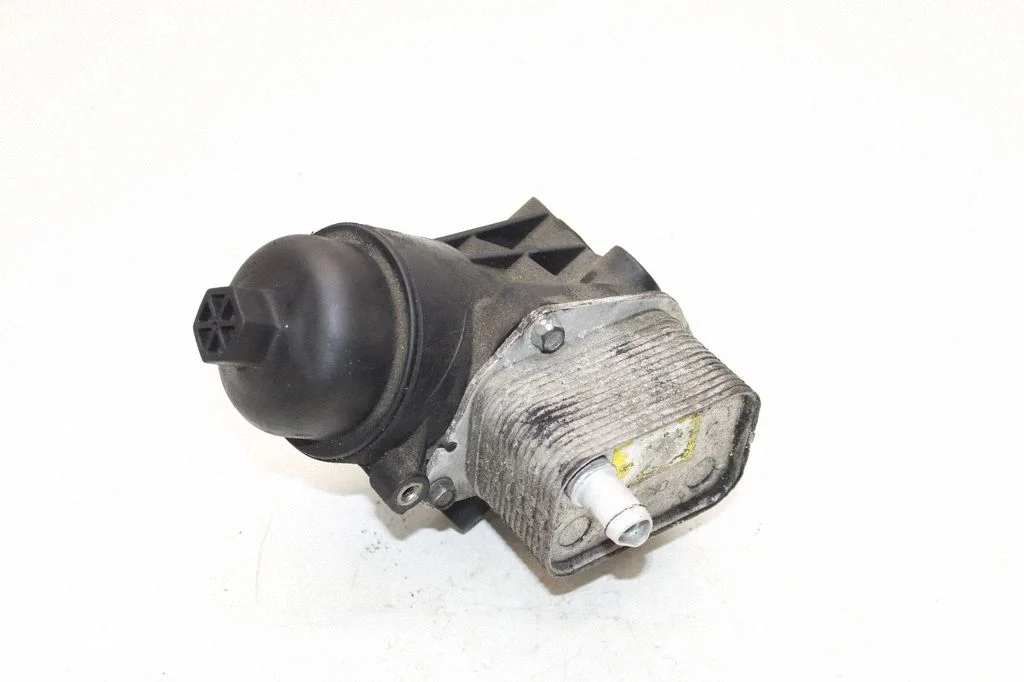 Mootoriõli radiaator 264002A900