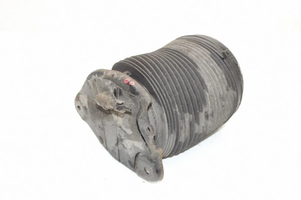 Rear air suspension bag/shock absorber – right