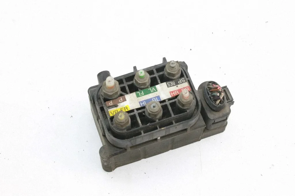 Air suspension control unit module (rear) A2513200058