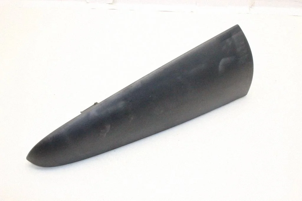 Rear/tail light trim molding 8200499014
