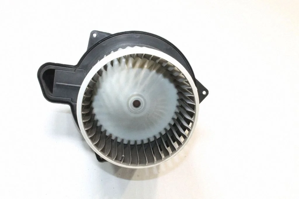 Salongipuhur – Fiat 500 (2007-)