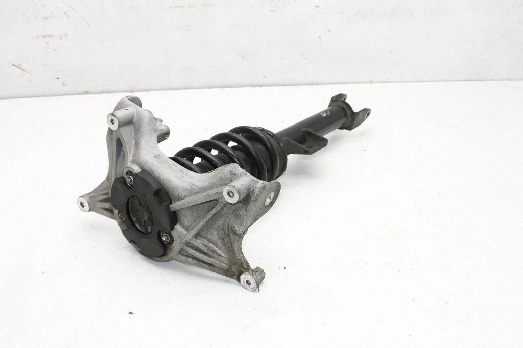 Front shock absorber/damper 118837900B