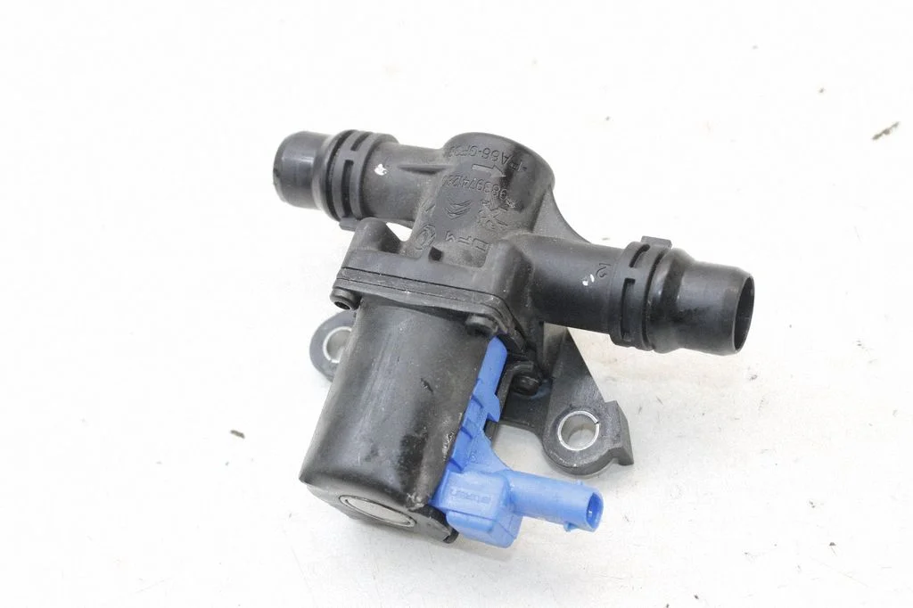 Electric auxiliary coolant/water pump 9839741280