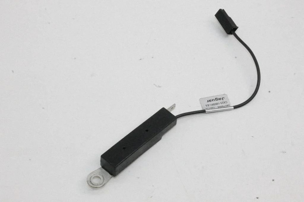 Antenas pastiprinātājs CX2318K891AA