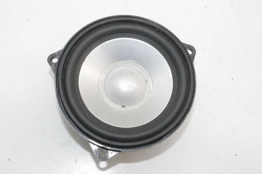 Głośnik w drzwiach tylnych – Land Rover Range Rover Sport L320 (2005-2013)