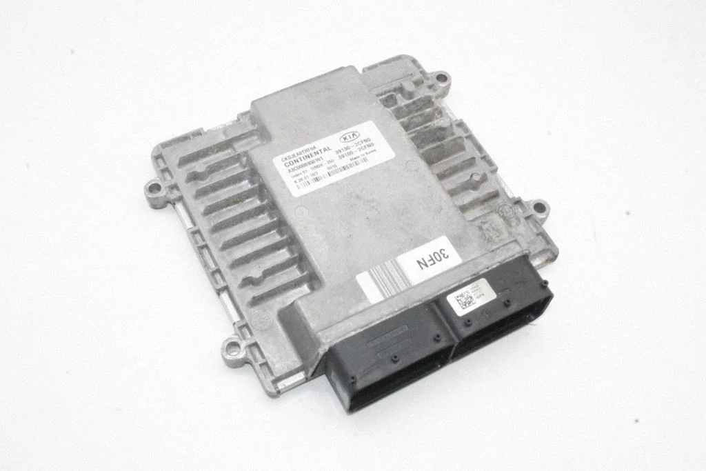 Engine control unit/module 391302CFN0