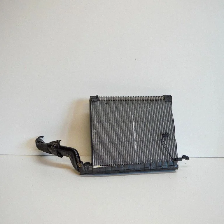 Krāsniņas radiators – Ford Mustang VI (2015-)