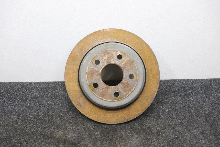 Rear brake disc 63909L