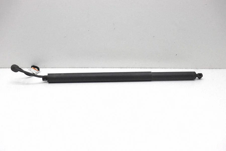 Tailgate/trunk strut/damper 505603960