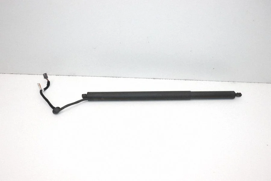 Tailgate/trunk strut/damper 505603960