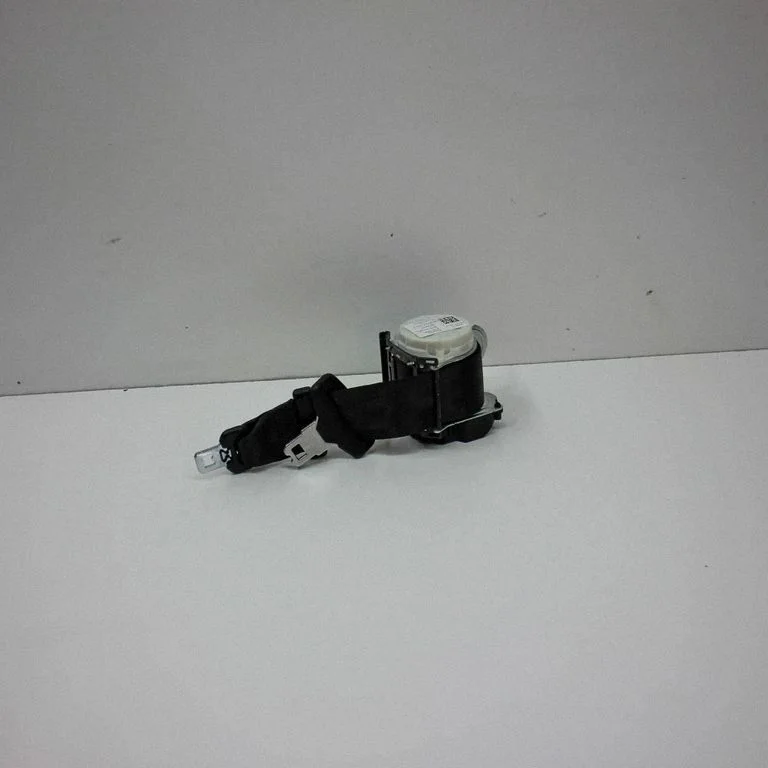 Vidējā drošības josta (aizmugurē) 34208771C