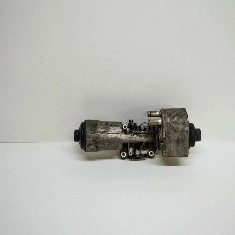 Mootoriõli radiaator – Volkswagen Passat B6 (2005-2010)