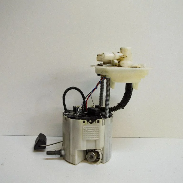 Kütusepump (paagis) 813026069