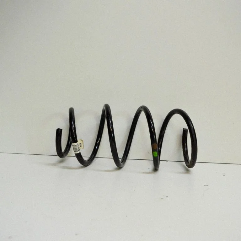 Front coil spring – Volkswagen Jetta V (2005-2010)