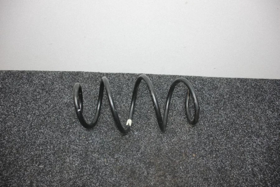 Rear coil spring 000000